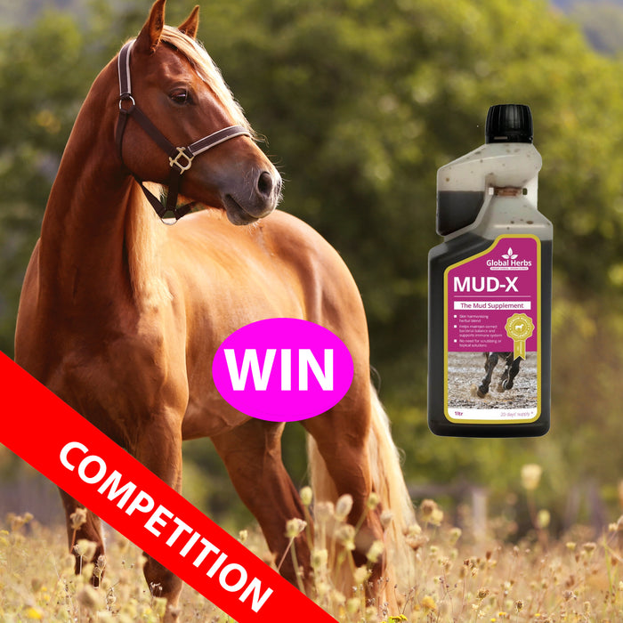 COMPETITION - WIN a 1 Litre Bottle of Global Herbs Mud-X Liquid