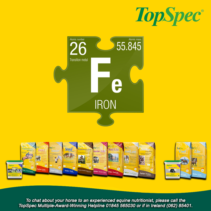 The Role of Iron in a Horses Diet - Horse Supplements