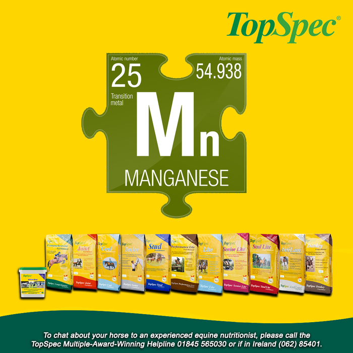 The Role of Manganese in a Horses Diet - Horse Supplements