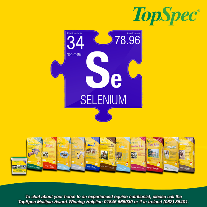 The Role of Selenium in a Horses Diet - Horse Supplements