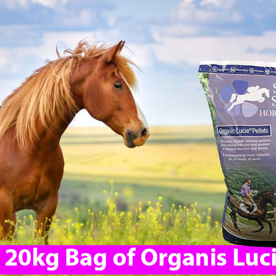 COMPETITION - WIN a 20kg Bag of Simple System Lucie Pellets