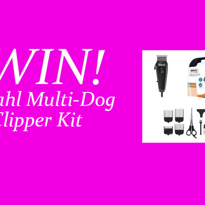 COMPETITION - Win a Wahl Multi Cut Dog Clipper Kit!!