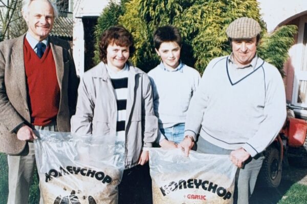 Honeychop family with early feed bags on the Suffolk farm