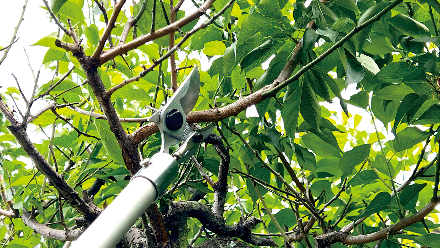 ARS Electronic Pruners Compared: EP-719, EP-720, EP-721 and ET-720