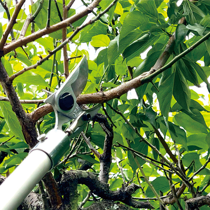 ARS Electronic Pruners Compared: EP-719, EP-720, EP-721 and ET-720