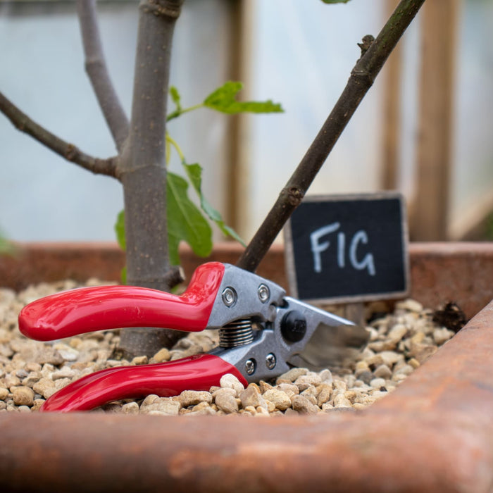 ARS VS-8XZ Secateurs Named a Which? Best Buy