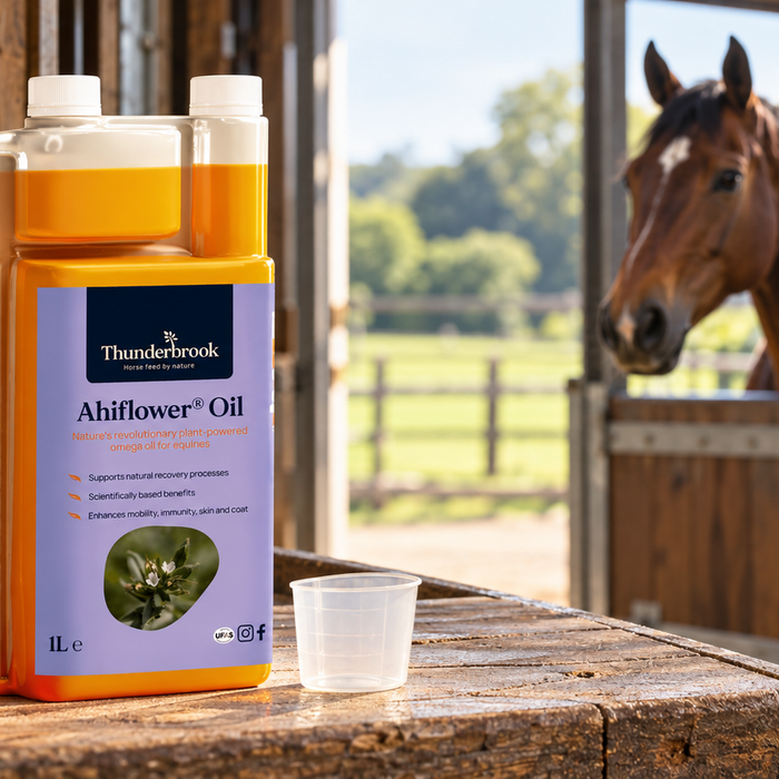 Thunderbrook Ahiflower Oil for horses: what it is and how to feed it
