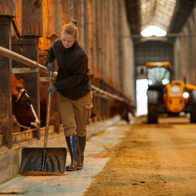 Ultimate Guide to Deep Clean Your Livestock Sheds