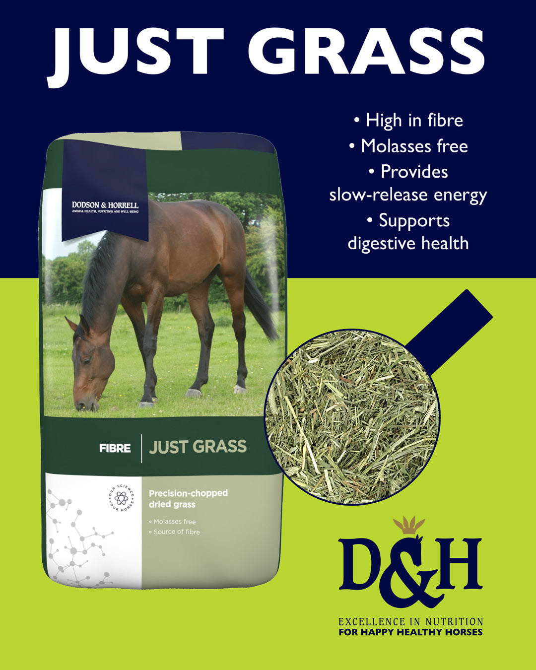 Dodson & Horrell Just Grass: What It Is and How to Feed It