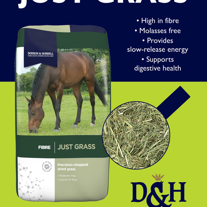 Dodson & Horrell Just Grass: What It Is and How to Feed It