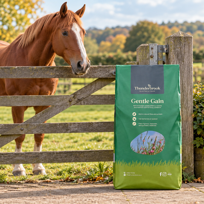 Thunderbrook Gentle Gain: a practical guide to feeding for condition