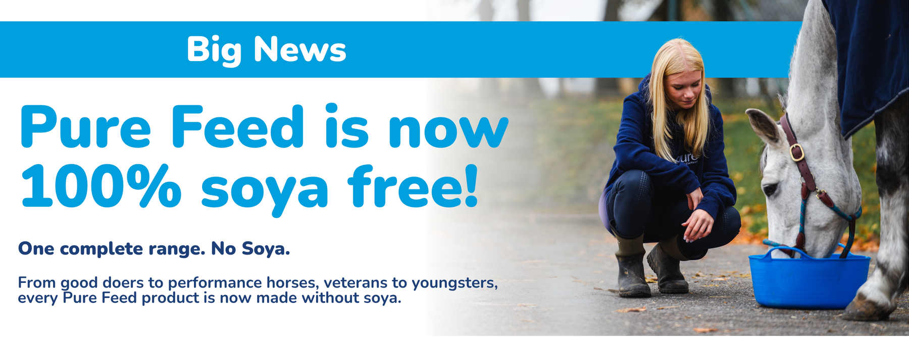 Pure Feed Is Now 100% Soya-Free: What Horse Owners Need to Know