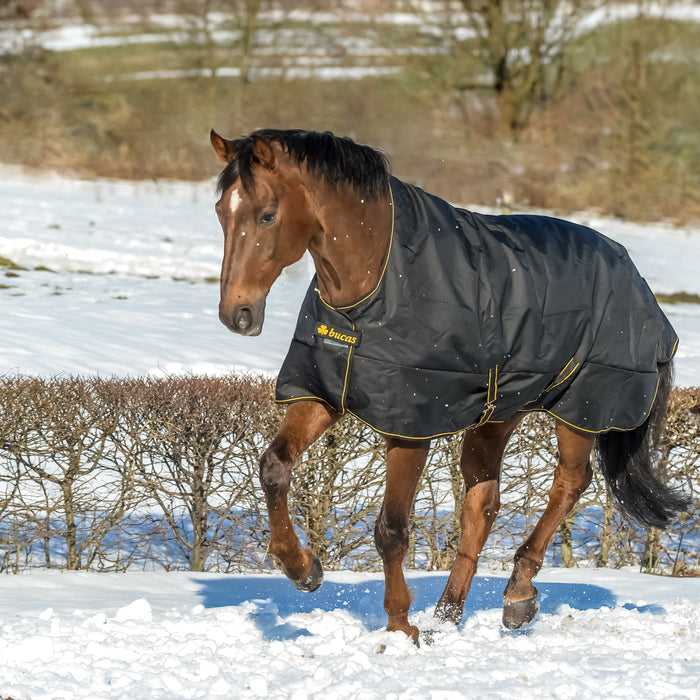 Horse Rug Weight Guide: 0g vs 100g vs 200g vs 300g (What’s Right for Your Horse?)
