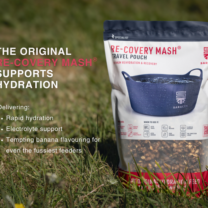 When Should You Feed a Recovery Mash to Your Horse?