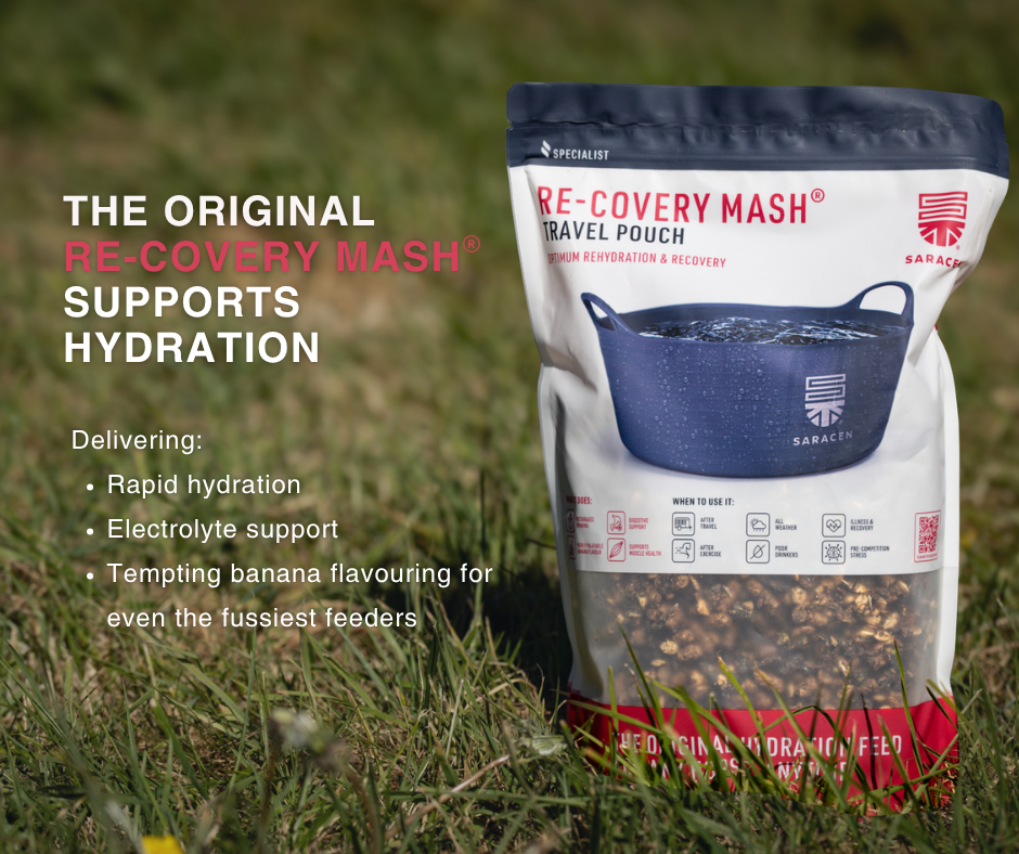 When Should You Feed a Recovery Mash to Your Horse?