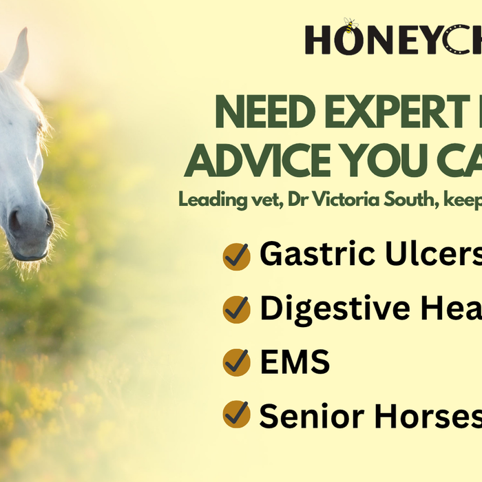 Which Chaff Is Right for Your Horse? A Practical Fibre Feed Guide