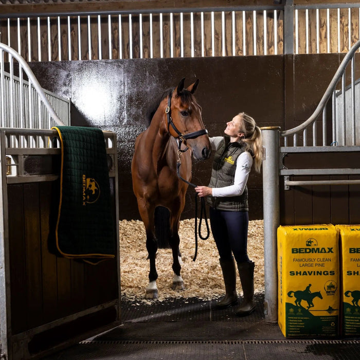 What Horse Owners Want from Bedding: Bedmax Survey 2026