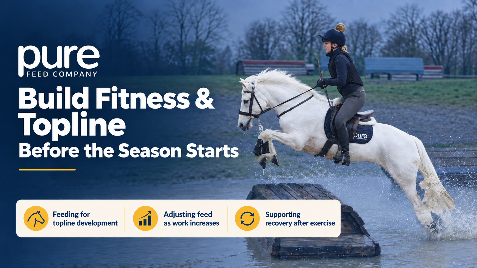 Bringing a Horse Back into Work: Which Pure Feed Should You Choose?