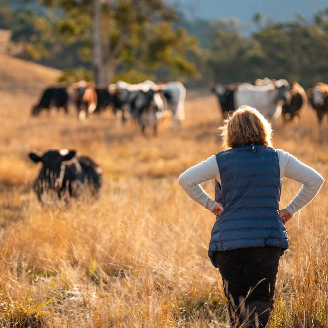 From Pasture to Plate: Making the Most of Your Home-Reared Beef