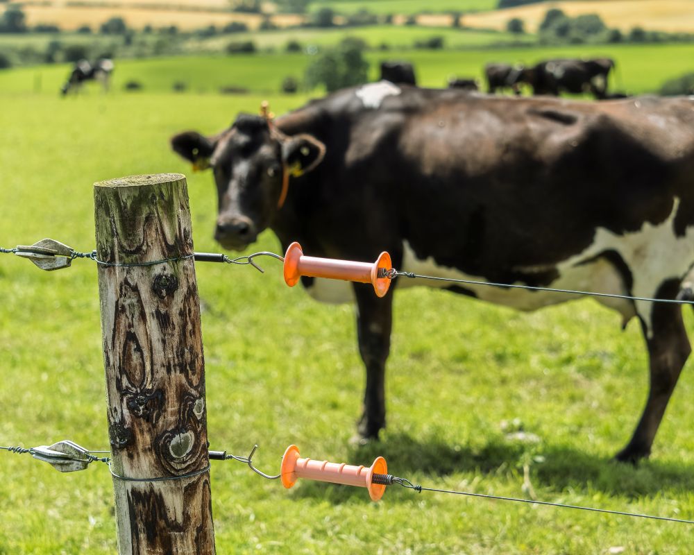 Spring Electric Fence Checklist Before Cattle Turnout