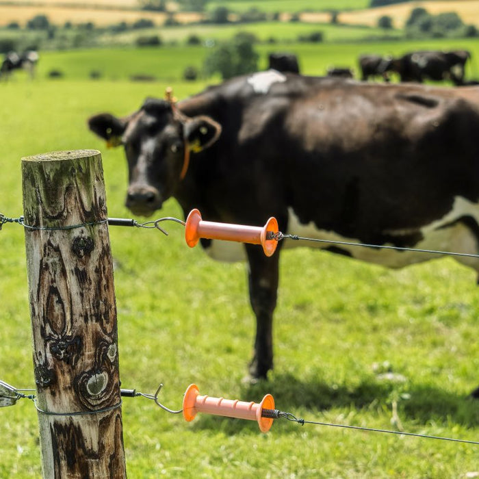 Spring Electric Fence Checklist Before Cattle Turnout