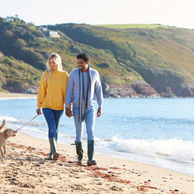 Planning the Perfect UK Holiday with Your Dog: Top Tips
