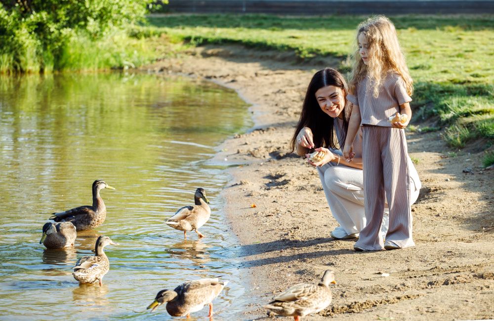 Bread is NOT Good for Ducks and Wild Birds: What to Feed Instead