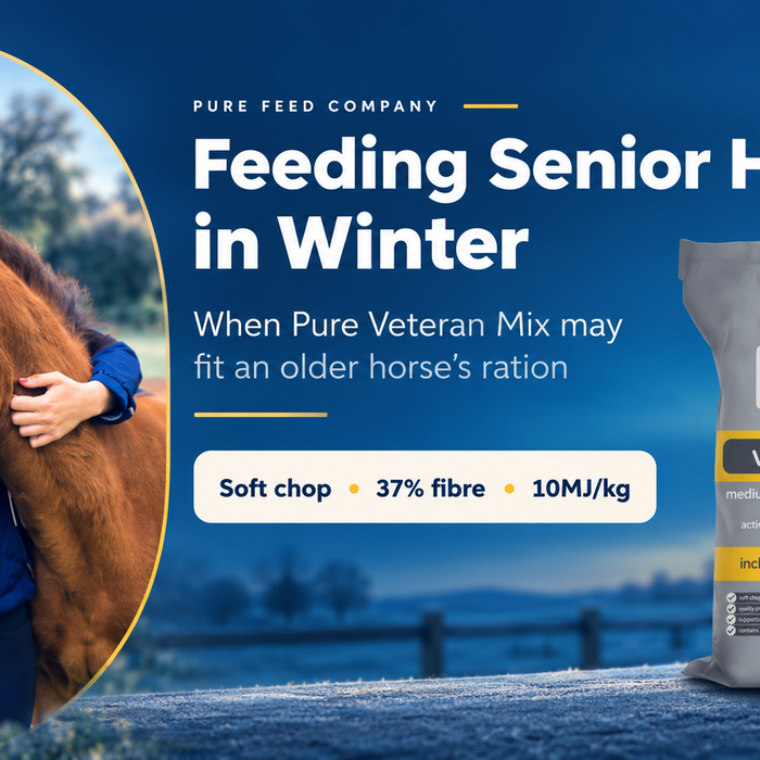Feeding Senior Horses in Winter: A Guide to Pure Veteran Mix