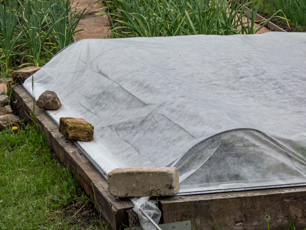 How to Protect Plants from Frost (What Actually Helps)