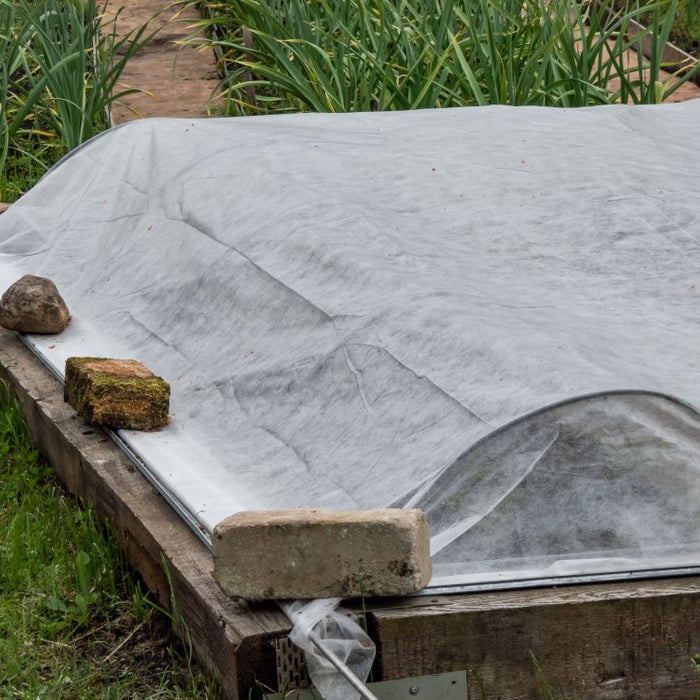 How to Protect Plants from Frost (What Actually Helps)