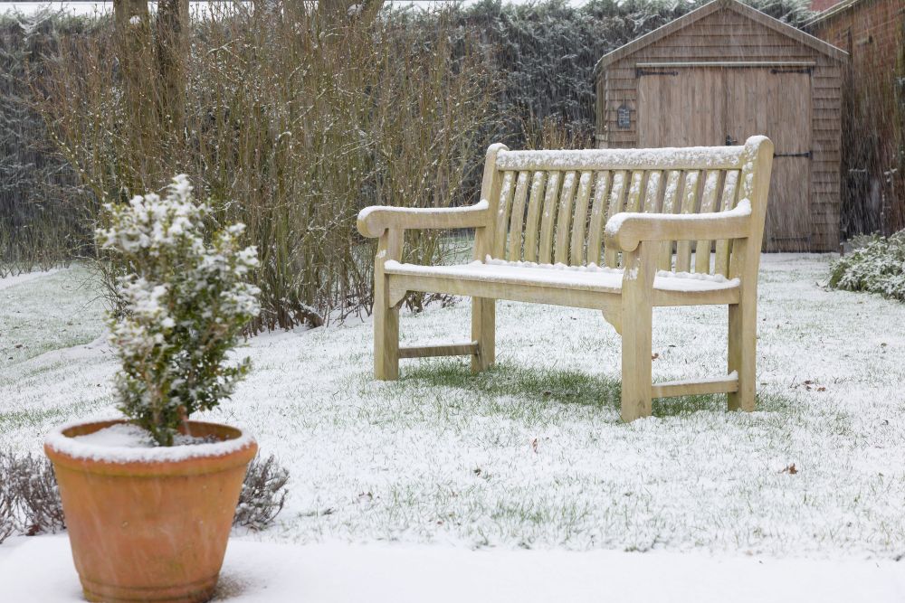 Winter Garden Jobs Checklist (UK): What to Do in January
