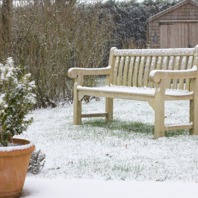 Winter Garden Jobs Checklist (UK): What to Do in January
