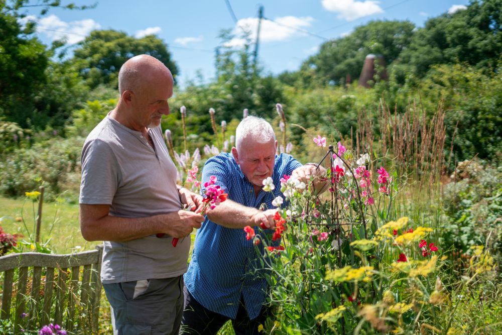 Your Early-June Garden Checklist (UK): Water Wisely, Weed Little &amp; Often, and Keep Summer Colour Coming