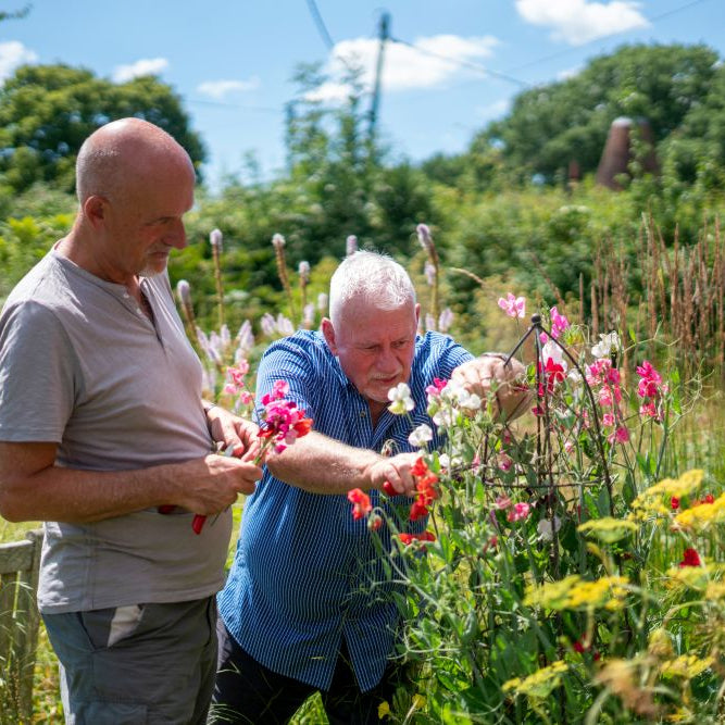 Your Early-June Garden Checklist (UK): Water Wisely, Weed Little &amp; Often, and Keep Summer Colour Coming