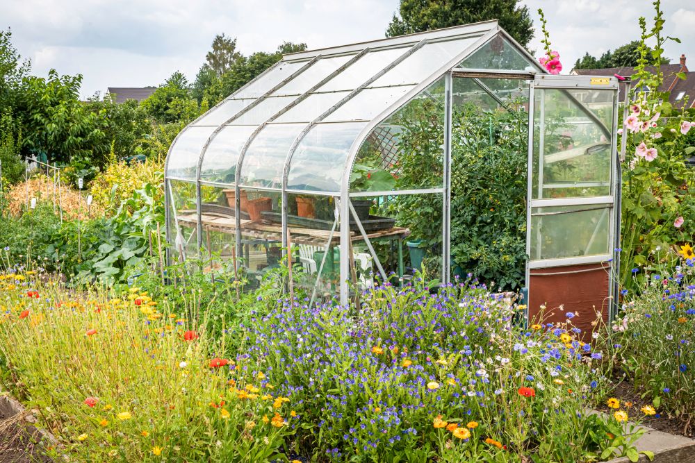 A Year in the Life of Your Greenhouse: Month-by-Month Growing Guide