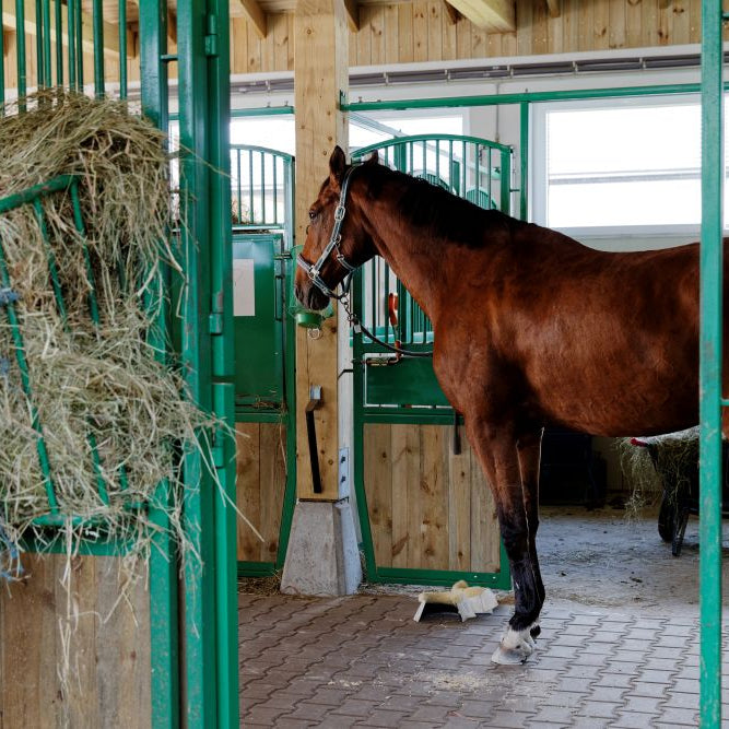 How Much Hay Should a Horse Eat in Winter? (Simple Guide + Handy Tables)