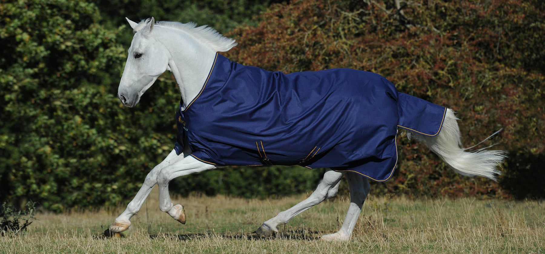 Guide to Choosing the Right Bucas Rug or Accessory