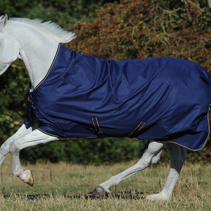 Guide to Choosing the Right Bucas Rug or Accessory
