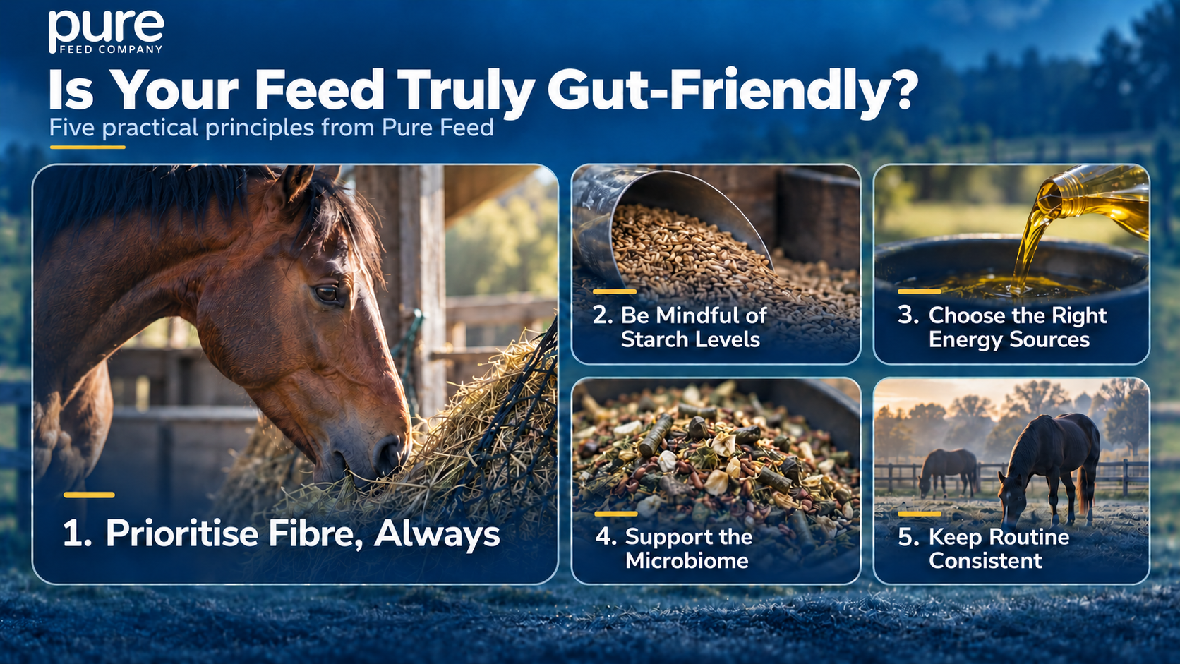 Is Your Horse Feed Truly Gut-Friendly? A Pure Feed Guide