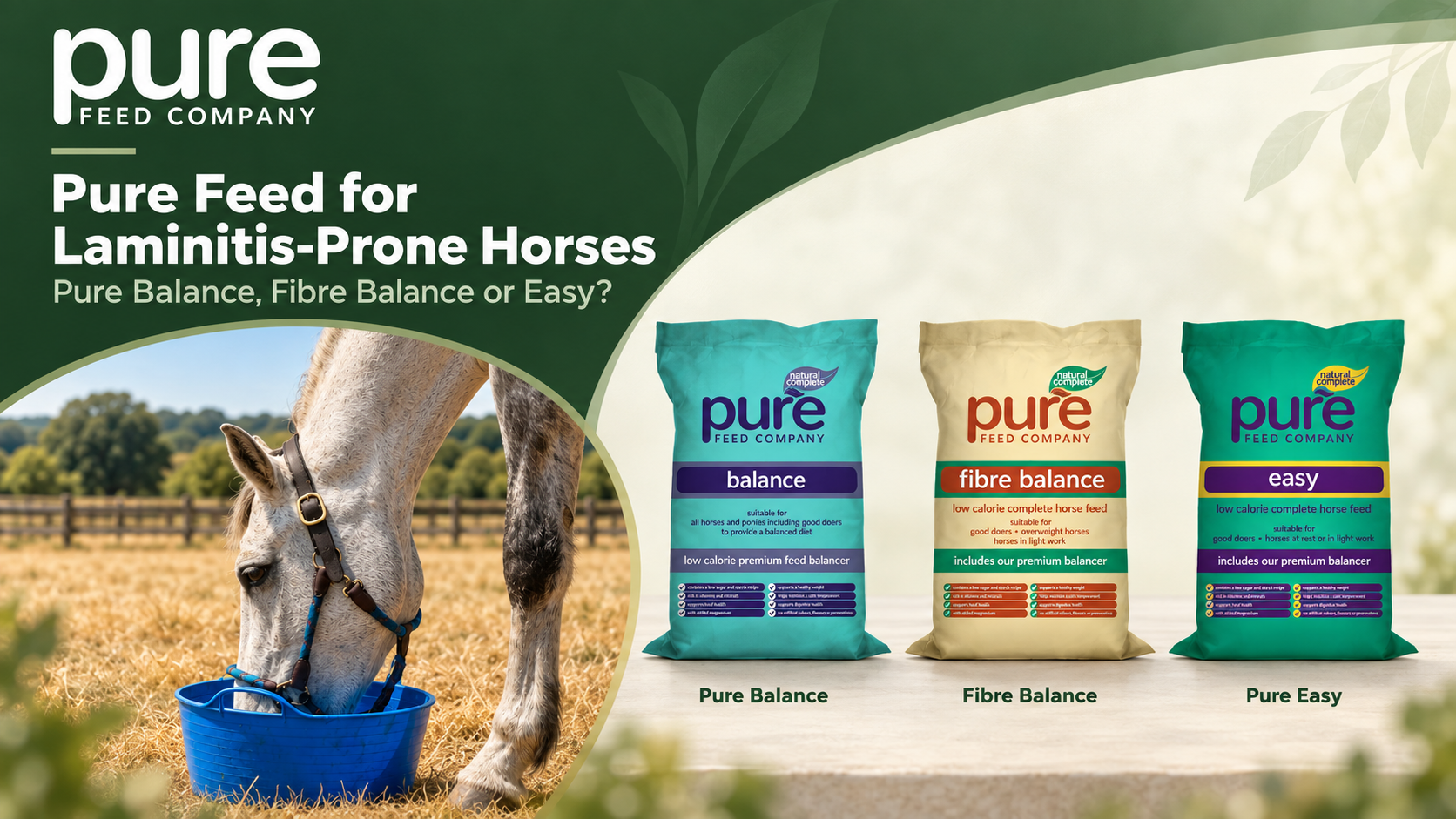 Pure Feed for Laminitis-Prone Horses: Balance, Fibre Balance or Easy?