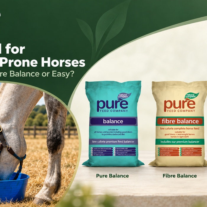 Pure Feed for Laminitis-Prone Horses: Balance, Fibre Balance or Easy?