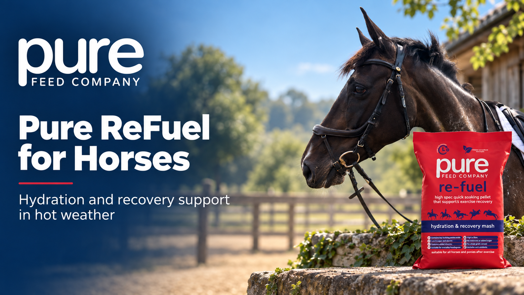 Pure ReFuel for Horses: Hydration and Recovery in Hot Weather