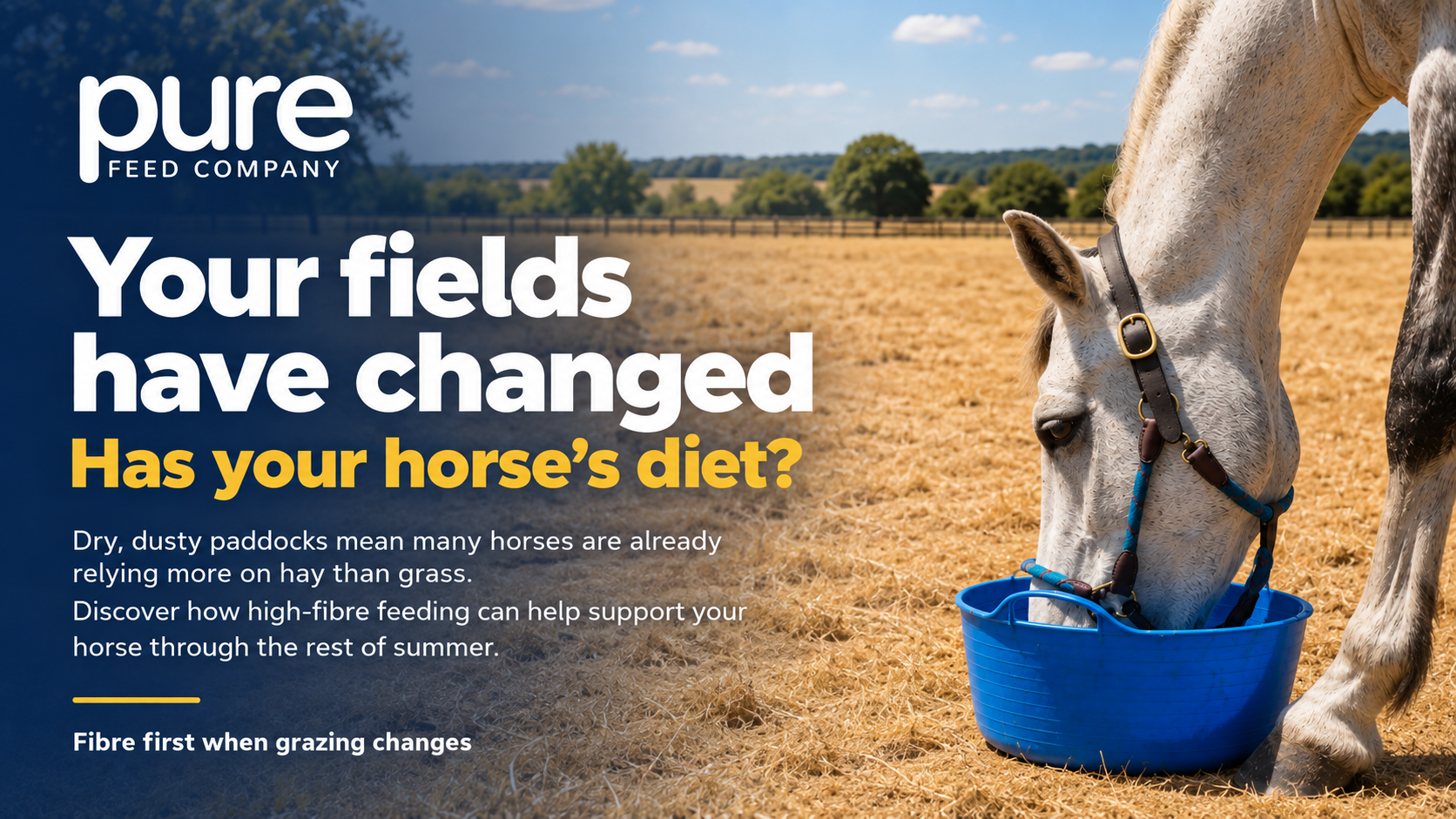 When Summer Grazing Dries Up: Which Pure Feed Should You Choose?