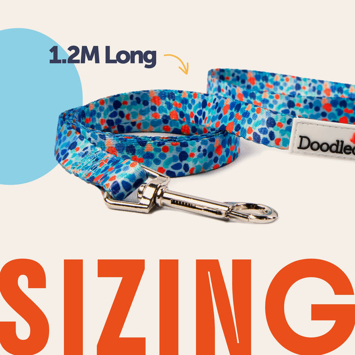 Doodlecat cat lead size guide showing 1.2 metre length