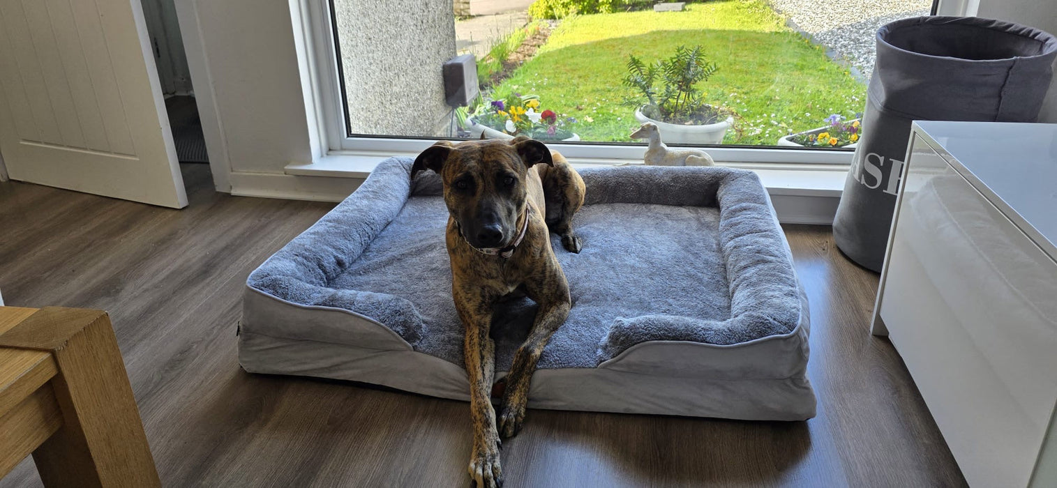 Washable Luxury Dog Sofa Bed - XL