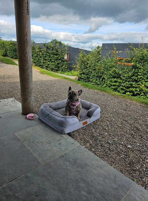 Washable Luxury Dog Sofa Bed - Medium
