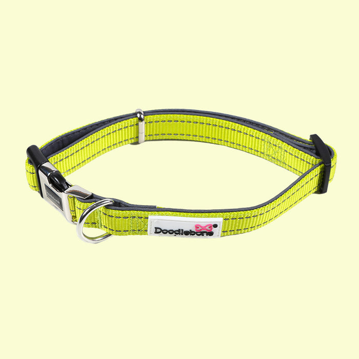 Doodlebone Padded Dog Collar  - Various Colours & Sizes