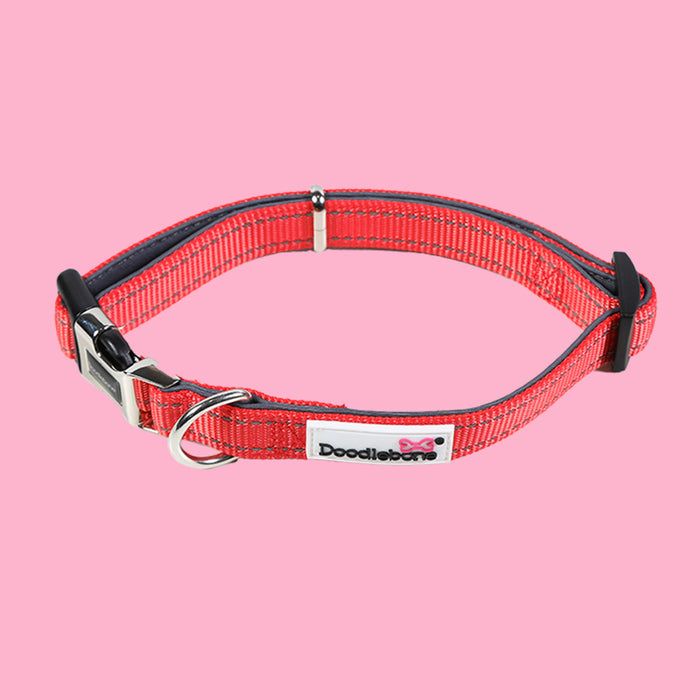 Doodlebone Padded Dog Collar  - Various Colours & Sizes