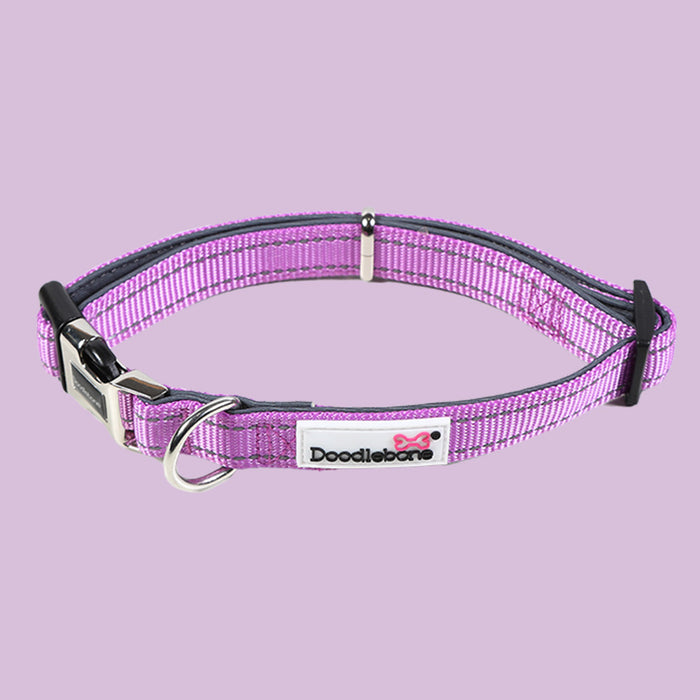 Doodlebone Padded Dog Collar  - Various Colours & Sizes