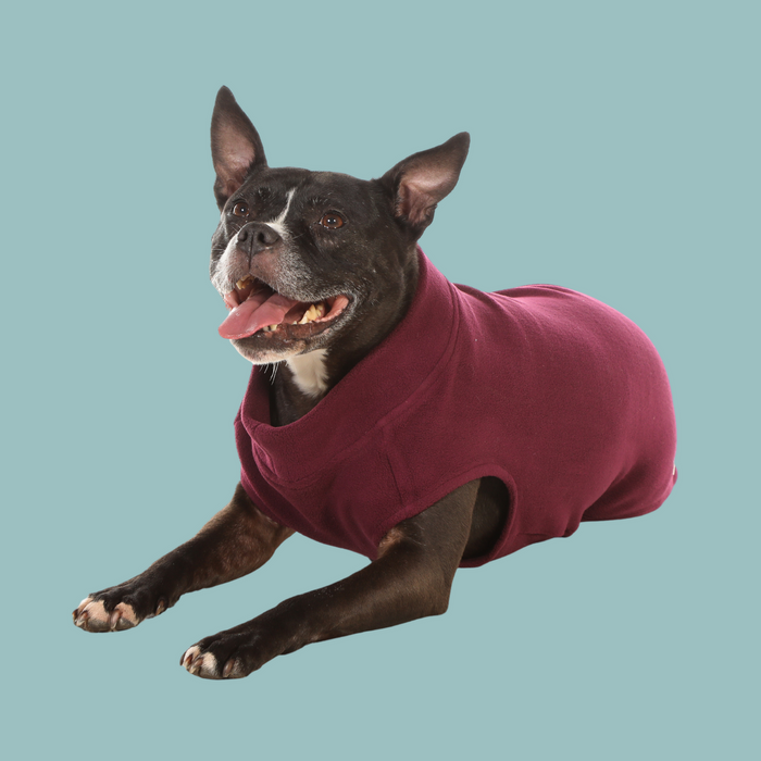 Doodlebone Dog Coat Fleecy  - Various Colours & Sizes